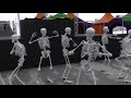 Spooky Scary Skeleton DANCE PARTY