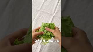 元サンドイッチ屋伝授！レタスをうまく挟むには？