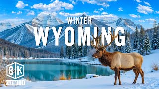 Wyoming Winter 8K UHD – Enjoy The Wonderful Winter In The Snowy Forests