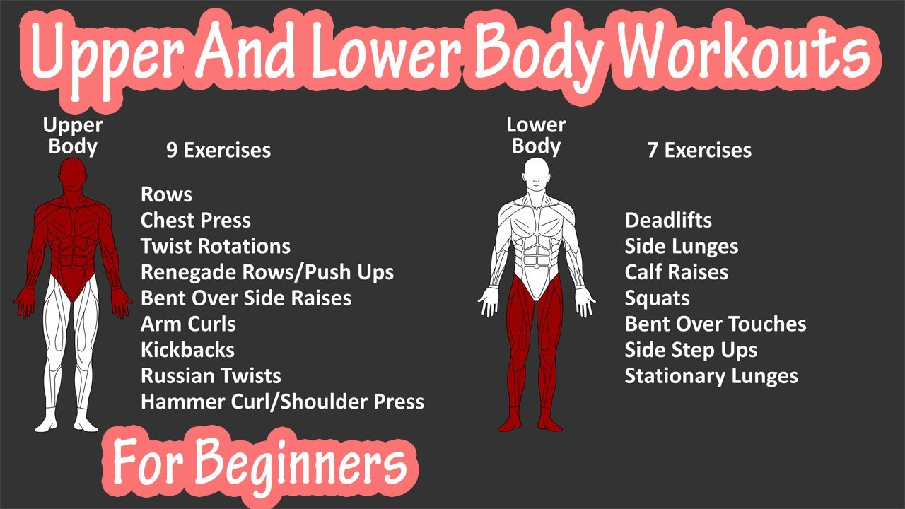 Upper Lower Body Split Workout Plan Eoua Blog