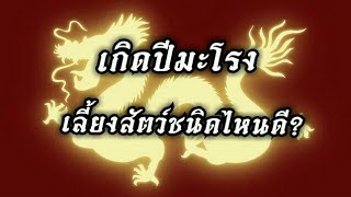 เกิดปีมะโรง ควรเลี้ยงสัตว์ชนิดไหนดี?