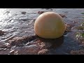 Blender 2.82 and Flip Fluids: On the Beach / Water Simulation (with wetmaps)