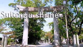 Suitengu shrine（全国総本宮水天宮）