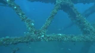 DuPont Bridge Span #3, approx 100ft. Off of Panama City, FL.