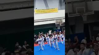 비호태권도 송파구태권도대회 태권체조 바나나차차 #taekwondo #태권도 #레크레이션 #격파  #댄스