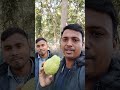 সুস্বাদু মিষ্টি পেয়ারা।। sweet guava guava garden.