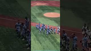 2022高校野球神奈川決勝横浜高校サヨナラの瞬間