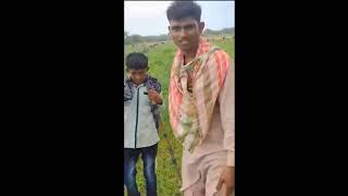 RABBIT HUNTING IN LAKHPAT