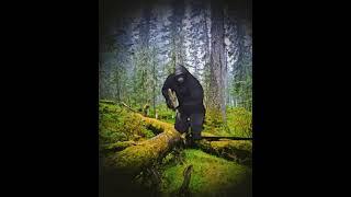 attack monkey. ak-47