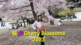 桜🌸Cherry Blossoms 2023, Peace Park Hiroshima City  by Ms,lemon