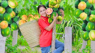 Harvesting Papaya \u0026 Go to the market to sell - Harvesting and Selling | Vietnamese Harvesting