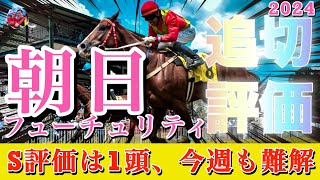 🎯 朝日フューチュリティ2024 | 追い切り評価