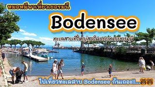 หมอหมี พาเที่ยวเยอรมนี : ทะเลสาบ Bodensee