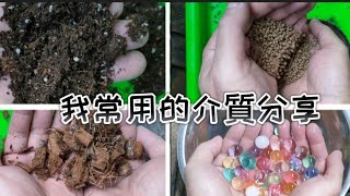 我常用的介質分享|介質特性與調配|植物男子