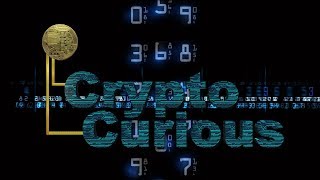 Crypto Curious