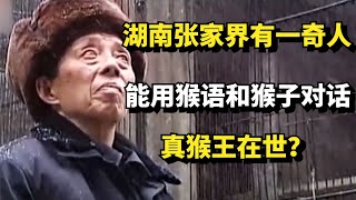 湖南张家界有一奇人，能用“猴语”和猴子对话，真猴王在世？