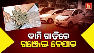 ଦାମୀ ଗାଡ଼ିରେ କରୁଥିଲା ଗଞ୍ଜେଇ ଚାଲାଣ    |   NandighoshaTV