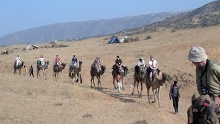 Overnight Camel Safari in Pushkar through the Desert