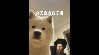 鸡蛋鸭蛋双黄蛋，不爱我是小笨蛋#狗狗