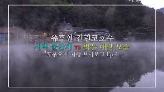 유후인 긴린코호수 새벽 물안개 VS 밝은 대낮 모습 비교 Lake Kinrinko, YUFUIN 후쿠오카 여행 브이로그