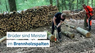 Niemand spaltet schneller Brennholz als diese Brüder