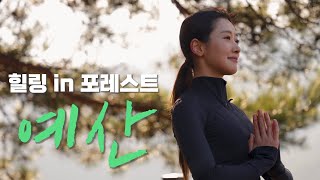 예산 치유의 숲에서 배우는 겨울철 건강관리 요가🧘 [힐링in포레스트]