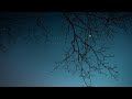 Very Popular + Sad Humming Background Nasheed + 💧Raining Sounds💧