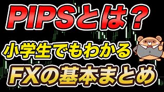 FXのpipsピップスとは？ 損益の計算方法やMT4での見方など解説！