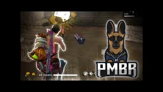 🔥FREE FIRE AO VIVO🔥NOVA GUILDA PM GAMING