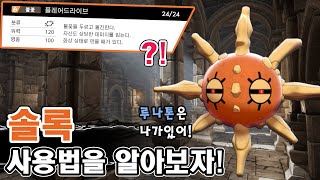 10년 동안 상향만 받았는데 아직도 마이너? 솔록 사용법을 알아보자! [포켓몬스터 소드 실드]