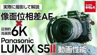 【パナソニック LUMIX S5II 】動画性能を実際に撮影して解説！圧倒的高画質6K×像面位相差AF【LUMIX DC-S5M2 】（カメラのキタムラ動画_Panasonic）