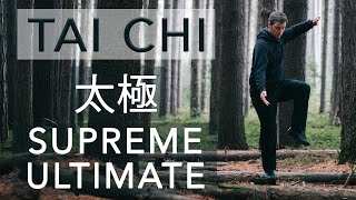 Tai Chi - Internal Martial Arts and the Supreme Ultimate