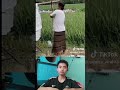 bapak viral reaction funny reactionlucu shortsviral