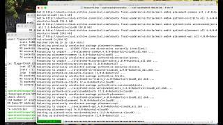 OpenStack Victoria Installation (Scripts) 11: placement