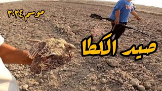 صيد الكطا والدراج وطبخ وجبة عشاء