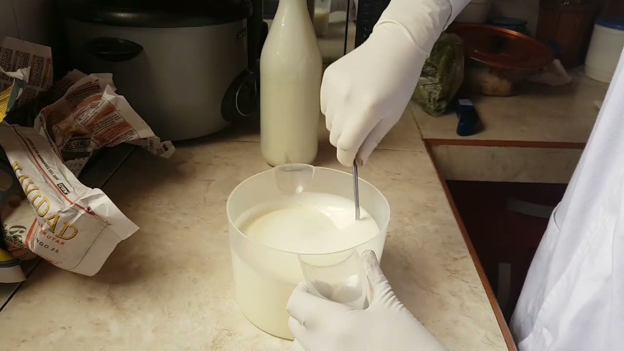 PROCESO DE ELABORACIÓN DEL YOGUR NATURAL- DOP - YouTube