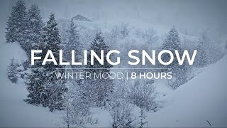 Winter Mood | 8 Hours of Snow Fall for Relaxation & Meditation