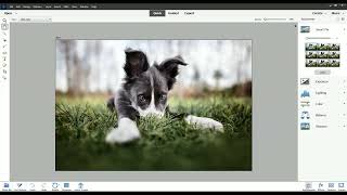 An introduction to Adobe Photoshop Elements 2023