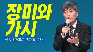 [백근철] 창세기 묵상 - 장미와 가시(하갈 이야기)