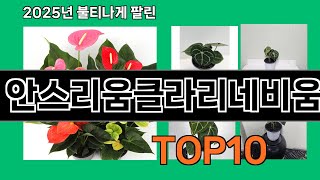 안스리움클라리네비움 쿠팡 인기 절정 꿀템 BEST 10