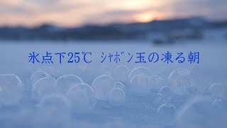 氷点下25℃ シャボン玉の凍る朝