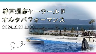 神戸須磨シーワールド　オルカパフォーマンス　2024.12.29 11:00