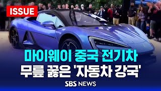 마이웨이 중국 전기차, 무릎 꿇은 '자동차 강국'…한국 미래는? (이슈라이브) / SBS