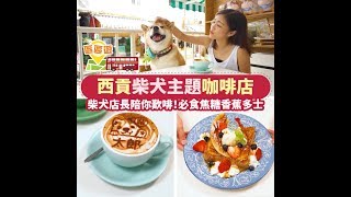 【區區遊】西貢柴犬咖啡店！柴犬店長陪你歎啡 必食全日窩夫早餐