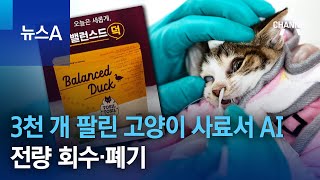 3천 개 팔린 고양이 사료서 AI…해당 업체 제품 전량 회수·폐기 | 뉴스A