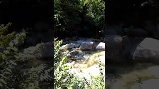 オテルドマロニエ付近。三重県菰野町。湯の山温泉の清流。三滝川上流を散策。☺️