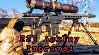 223 Ackley Improved My rifle and cartridge overview