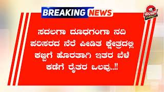 ಸದಲಗಾ ದೂಧಗಂಗಾ ನದಿ ಪರಿಸರದ ನೆರೆಪೀಡಿತ ಕ್ಷೇತ್ರದಲ್ಲಿ ಕಬ್ಬಿಗೆಹೊರತಾಗಿ ಇತರ ಬೆಳೆ ಕಡೆಗೆ ರೈತರ ಒಲವು. #Punch_News