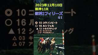 阪神ジュベナイルフィリーズ予想（2023年12月10日阪神11R）