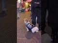 警犬届“甜心” — 杰克罗素梗，一种活泼、精力旺盛、爱好群集的工作犬种，你认识吗？